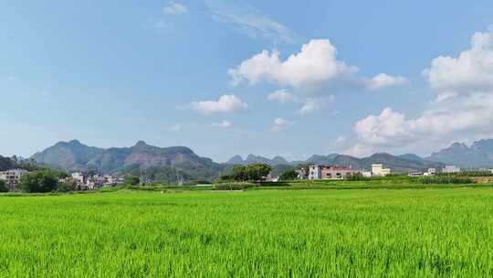 田园自然风光延时