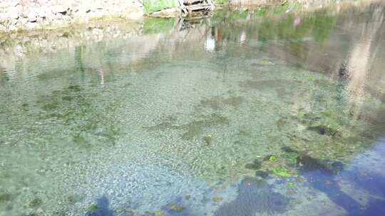 沕沕水五龙谭 溪水 水流 自然景观