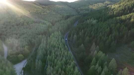 森林公路  航拍开车 航拍 山林驾驶汽车 4k