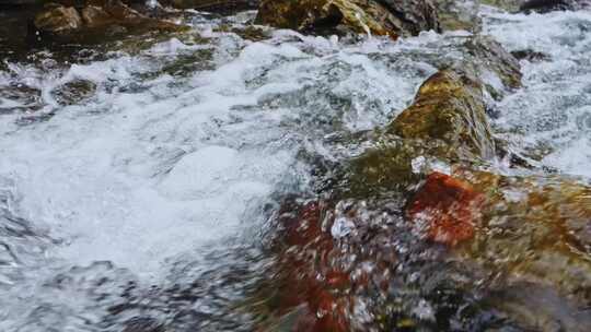 自然小溪流水山泉水花急流