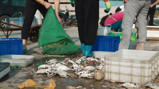 海边海鲜交易码头10