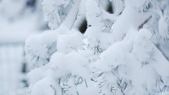 伏牛山冬季雪景雾凇