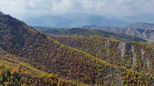 【4K画质】原始山谷航拍