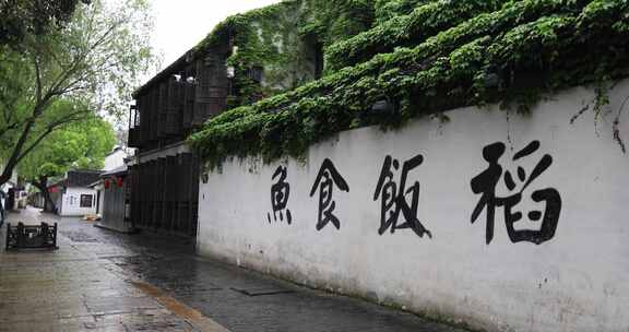 春天雨天苏州平江路唯美景观 清晨水乡老街