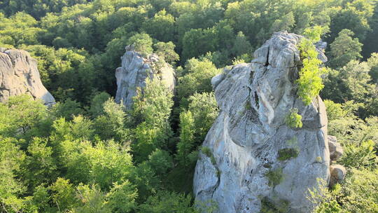 航拍茂密的树林之间有绿色的森林树木和巨大的岩石巨石