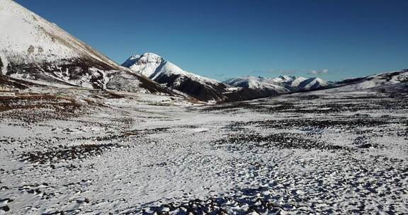 云南香格里拉德钦县白马雪山