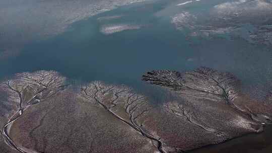 钱塘江大潮观潮潮汐树震撼的大地之树