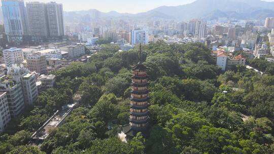 龙峰塔 龙华龙峰塔 龙华公园 龙华地标