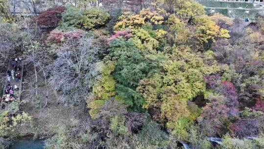 四川九寨沟彩林秋景和蓝色海子