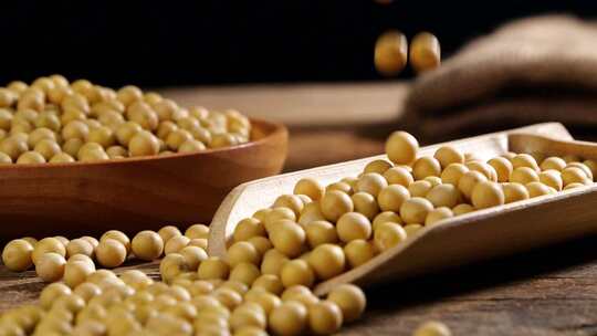 黄豆豆子豆农产品农作物优质黄豆
