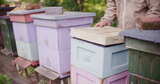 养蜂人检查蜂箱后关闭蜂箱盖高清在线视频素材下载