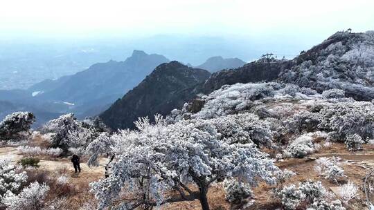 泰山之巅，春日雾凇