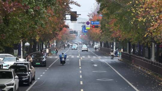 杭州钱塘区学林街秋景航拍