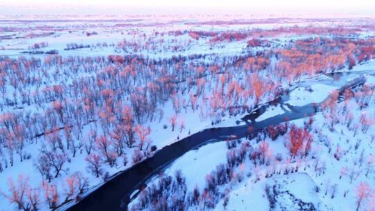 新疆天山夕阳下的林海雪原