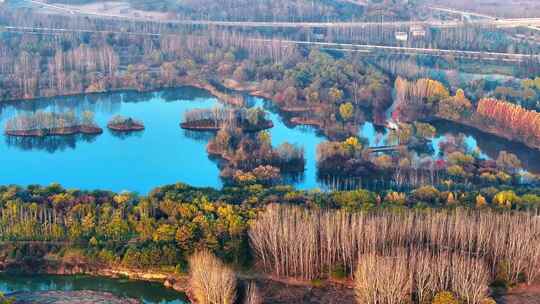 西安浐灞渭河湿地公园秋景视频素材模板下载