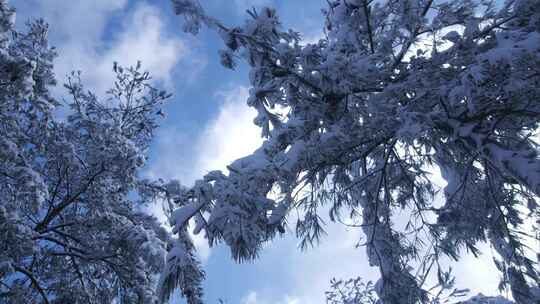 雪景蓝天