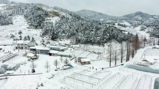 金华盘前村唯美雪景风光4K航拍