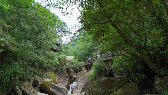 成都青城山后山峡谷森林步道溪流自然景观