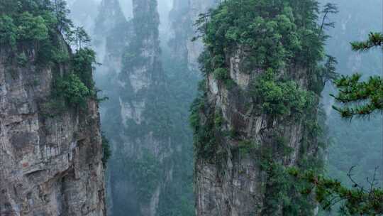 张家界森林公园袁家界景区雨雾