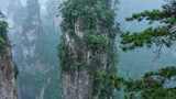 张家界森林公园袁家界景区雨雾高清在线视频素材下载
