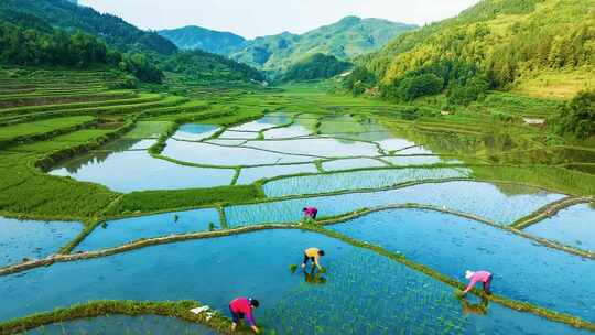梯田风光与传统农耕