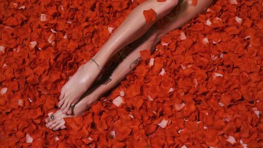 女人躺在红花瓣里
