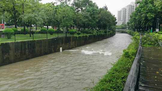 台风海葵登录深圳