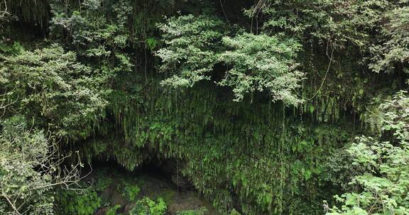 海南雷琼海口火山群