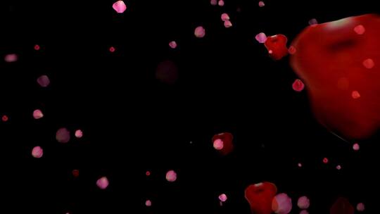 粉色花瓣飘落通道元素视频AE视频素材教程下载