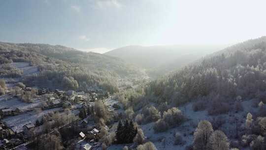 冬天风景森林雪景