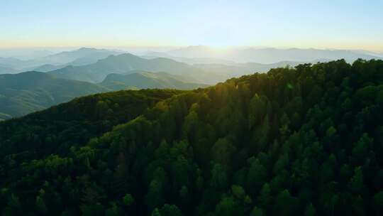 航拍飞越大山森林青山