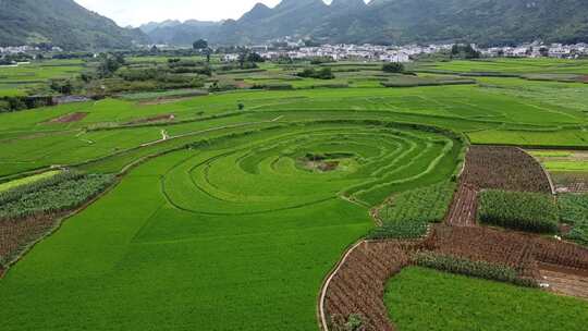 航拍贵州兴义万峰林纳灰村田园大地之眼风光