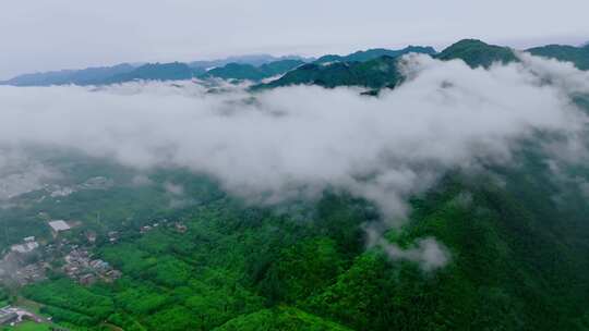 航拍森林云雾云海 秦岭山脉