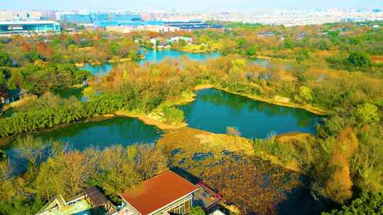 杭州西湖区西溪湿地美景风景视频素材