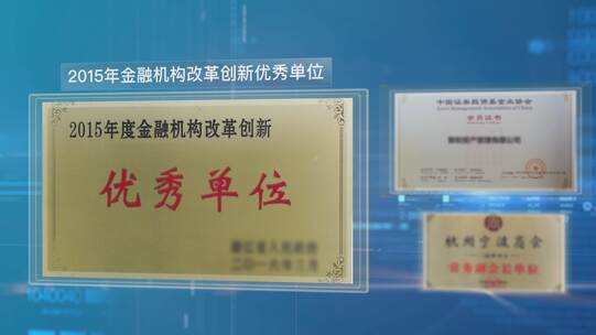 两款科技大气党政或企业获奖荣誉证书展示AE视频素材教程下载