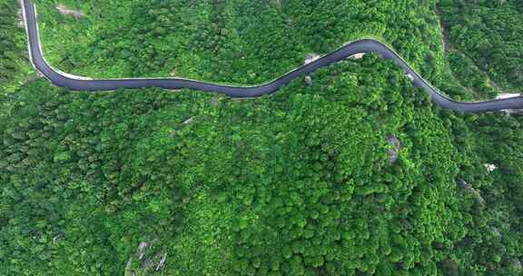 穿过森林的盘山公路