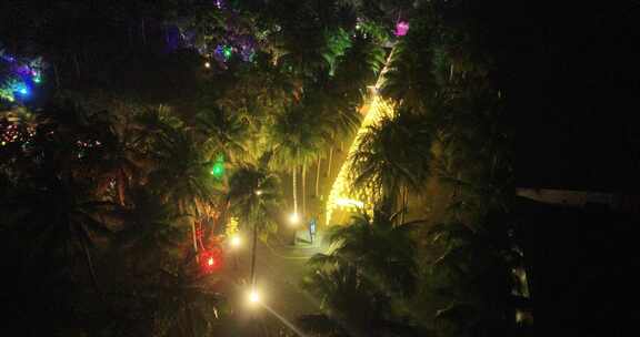 海南文昌椰子大观园夜景航拍