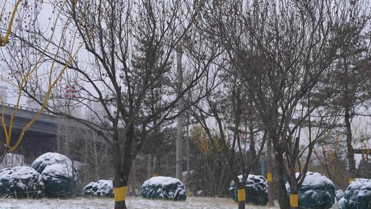 道路 航拍雪景 唯美冬日空镜 立冬