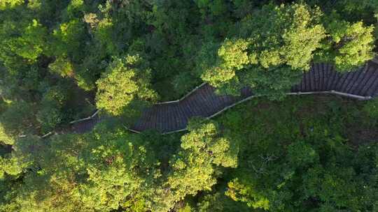 惠州惠东九龙峰