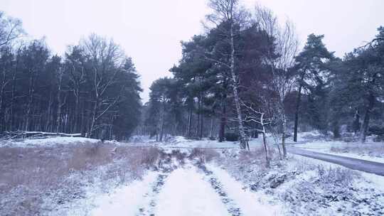 积雪覆盖的地面