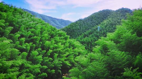 世外桃园黄山塔川木杭竹海航拍