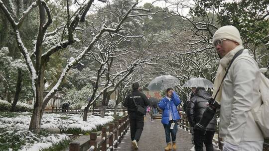 杭州冬天雪景