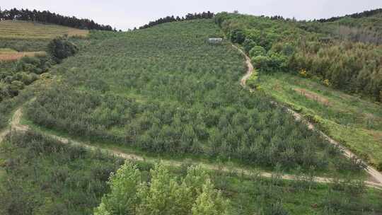 航拍 航拍东北 东北航拍 北方 风景