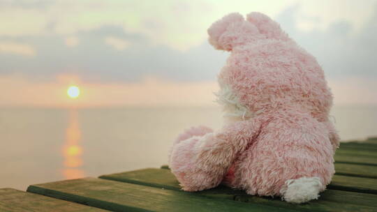 玩偶坐在码头边看日落