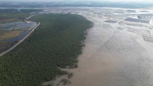 湛江北部湾红树林湿地航拍