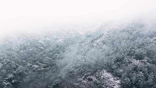 成都龙泉山森林公园下雪