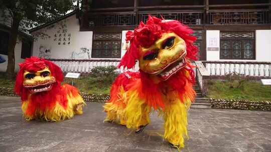 畲族舞狮表演非遗文化视频素材模板下载