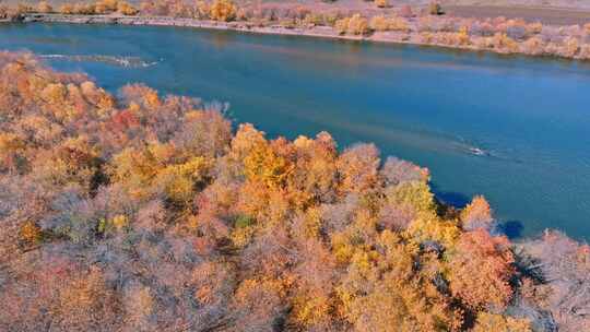 额尔古纳湿地景观视频素材模板下载