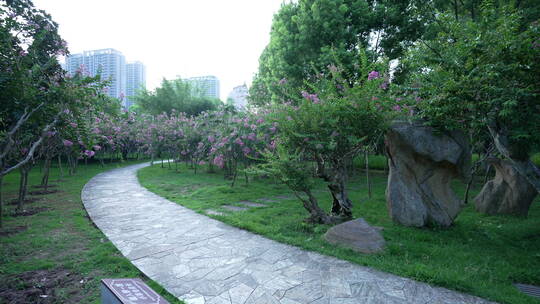 武汉青山和平公园境内园林视频素材模板下载