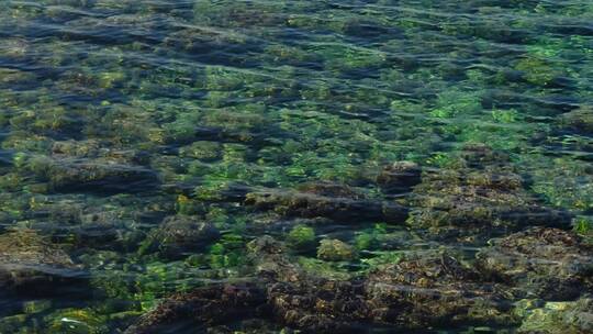 清澈见底的海水 珊瑚礁石沙子海藻海草